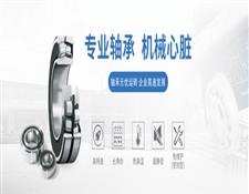 NSK進(jìn)口軸承