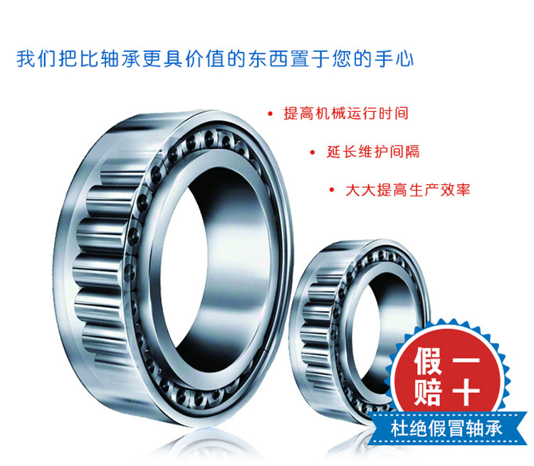 泵及壓縮機專用軸承