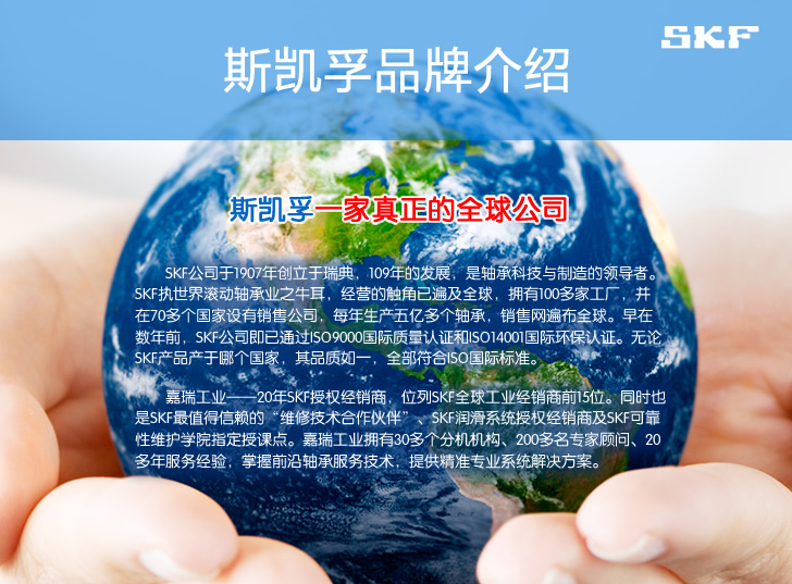 <strong>CARB圓環滾子軸承</strong>